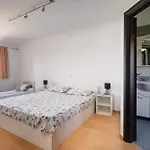 Arco Svetvinčenat